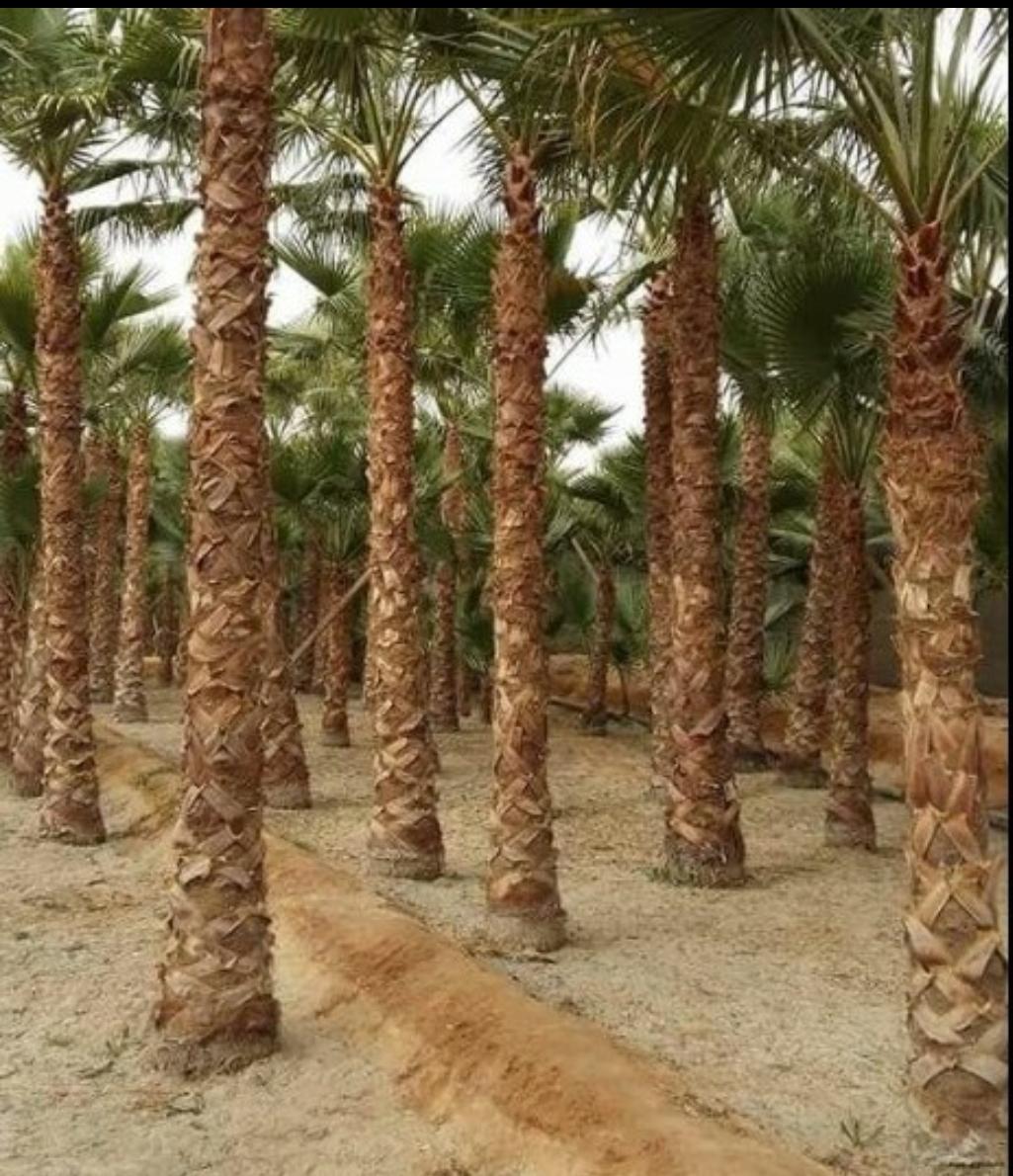 نعيد الحياة إلى محيطك